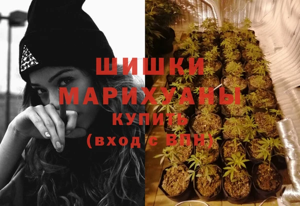прущие грибы Вязники