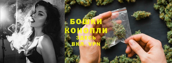 соль ск Волосово
