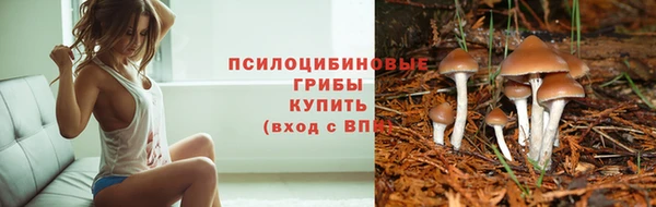 мет Вяземский