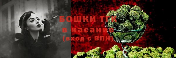 СК Волоколамск