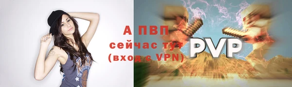 СК Волоколамск