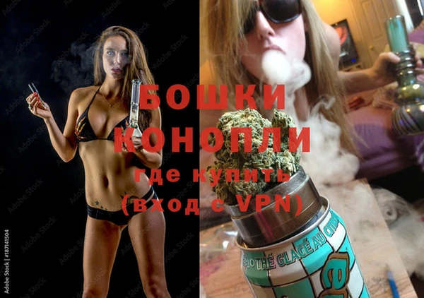 СК Волоколамск