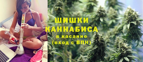 соль ск Волосово