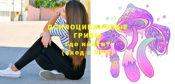 СК Волоколамск