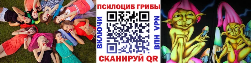 Купить где Губкинский Галлюциногенные грибы прущие грибы